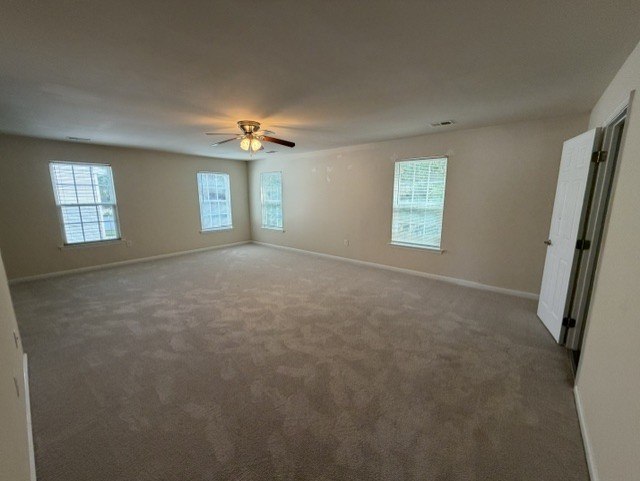 Gallery Photo 16